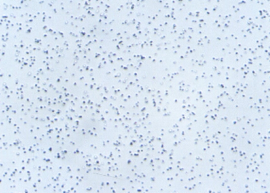 TBW—A(金剛石超細微粉)