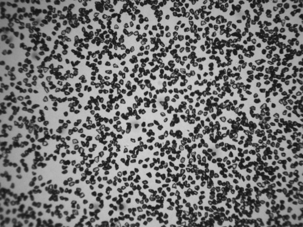 TBW-A+ 10-20（成品）